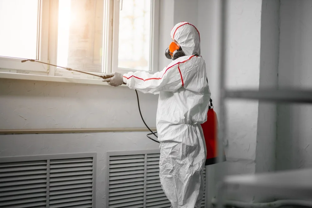 Professional mold remediation services in Frostproof, FL